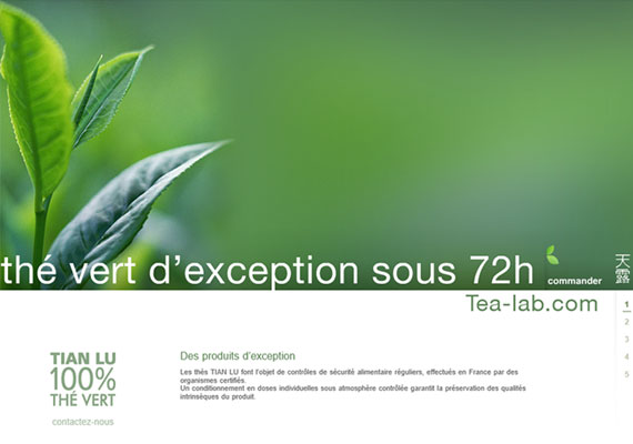 Lorem ipsum dolor sit amet, consectetur adipiscing elit. Phasellus quis elementum odio. Curabitur pellentesque, dolor vel pharetra mollis.